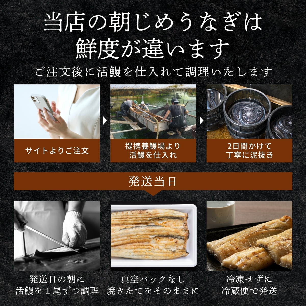 【国産】 うなぎの白焼き 3匹 国産うなぎの白焼き3匹セット（松） | 商品詳細 | 高島屋