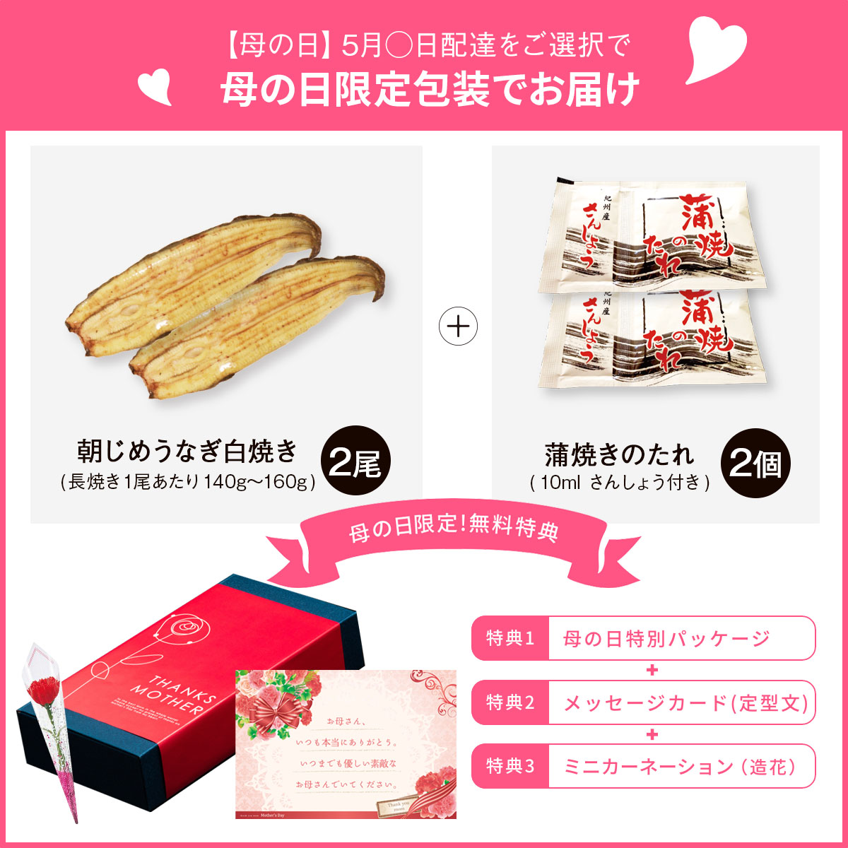 朝じめうなぎ白焼き2尾（2～3人前）【国産】【長焼き】