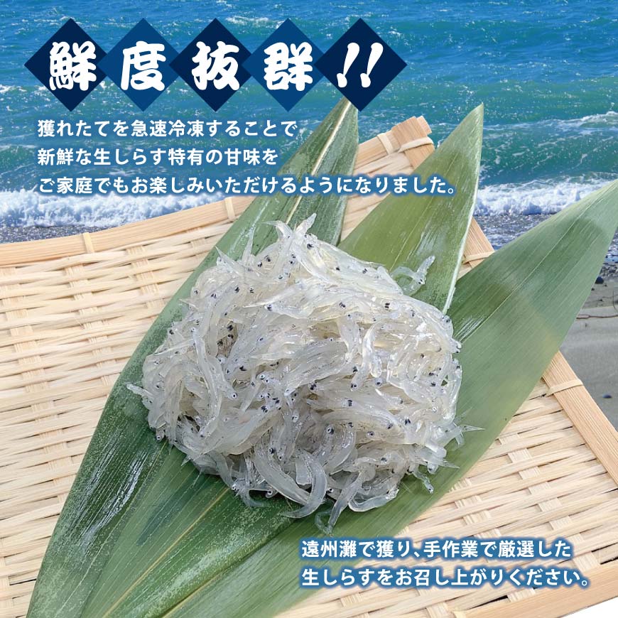 しらすさん専用 遠州灘産冷凍生しらす 100g4パックセット - 浜名湖産直マーケット