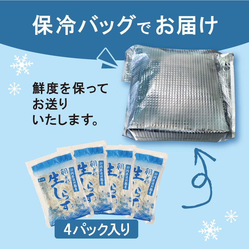 しらすさん専用 しらす小分けセット ＊冷凍発送＊ – 丸幸有限会社