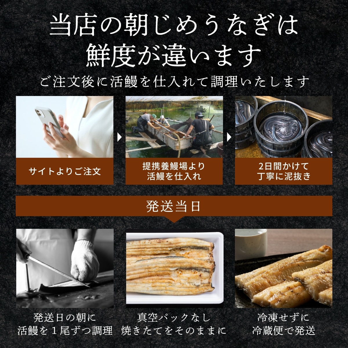 朝じめうなぎ白焼き5尾(1人前)【国産】【長焼き】