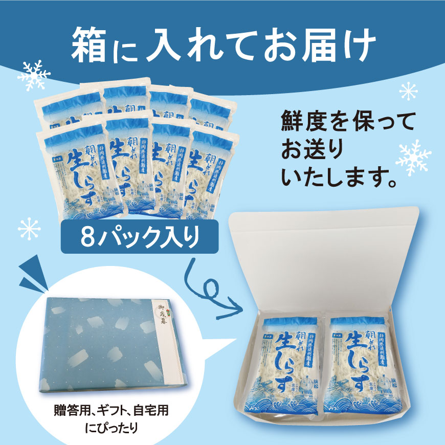 遠州灘産冷凍生しらす 100g8パックセット - 浜名湖産直マーケット