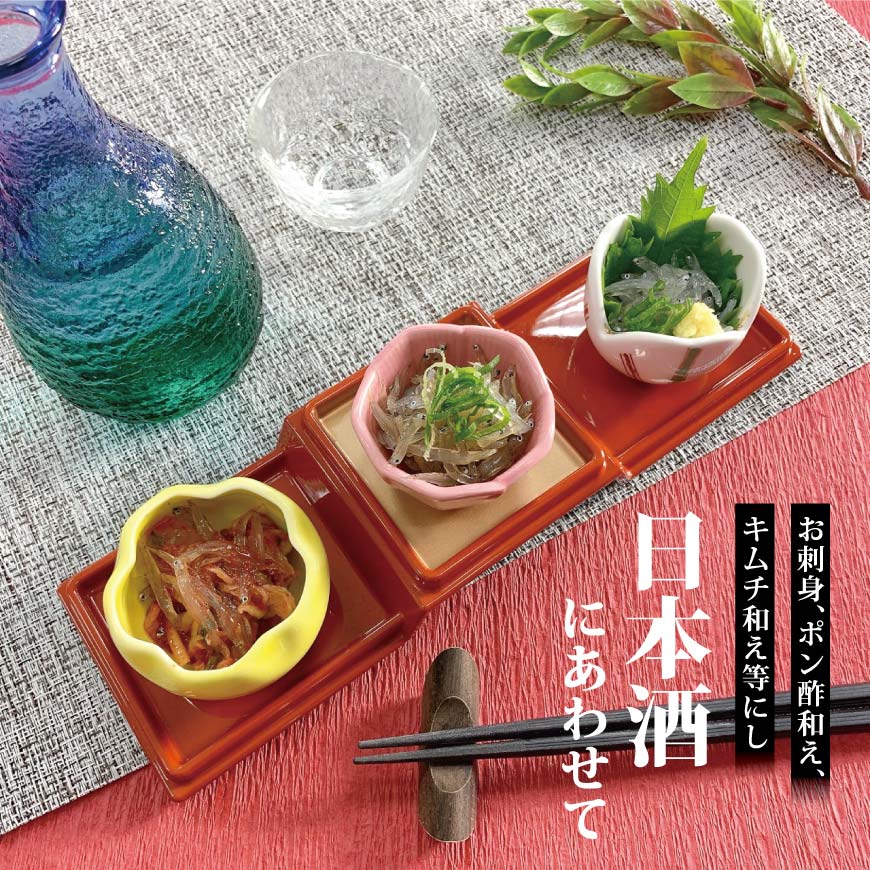 遠州灘産冷凍生しらす 100g8パックセット