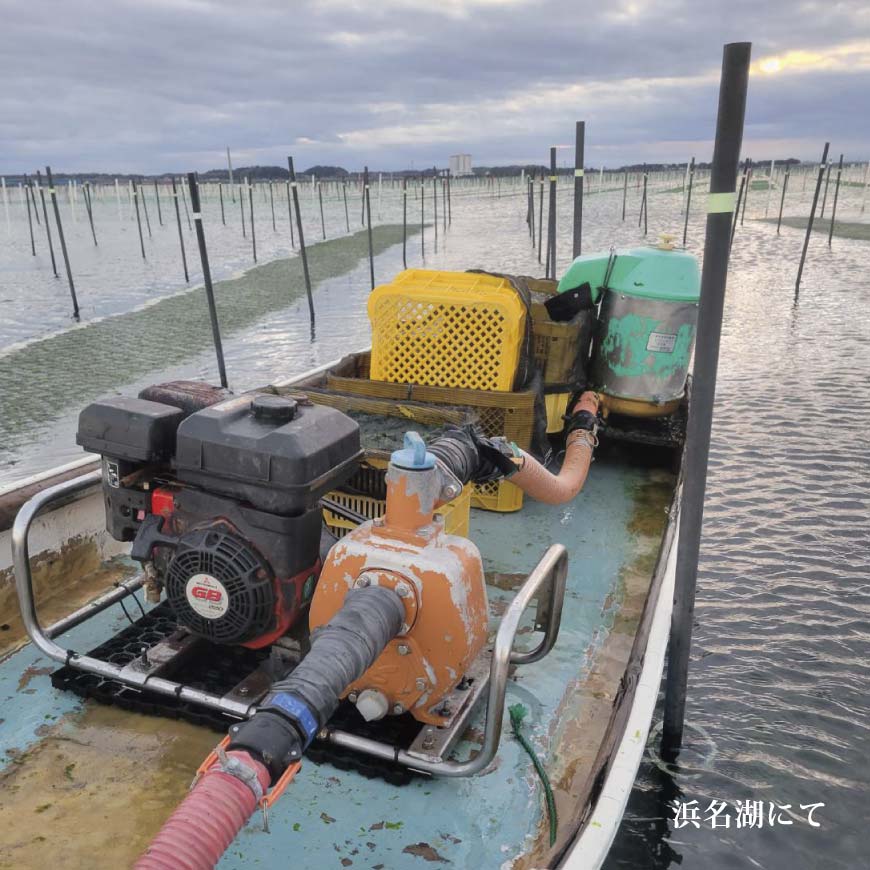 浜名湖ぶち海苔 [板海苔10枚ｘ5袋]