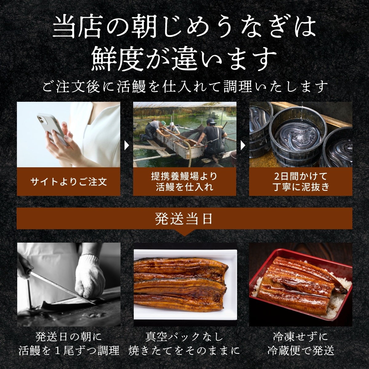 朝じめうなぎ蒲焼き2尾と白焼き1尾のコンビセット（4～5人前）【国産】【長焼き】