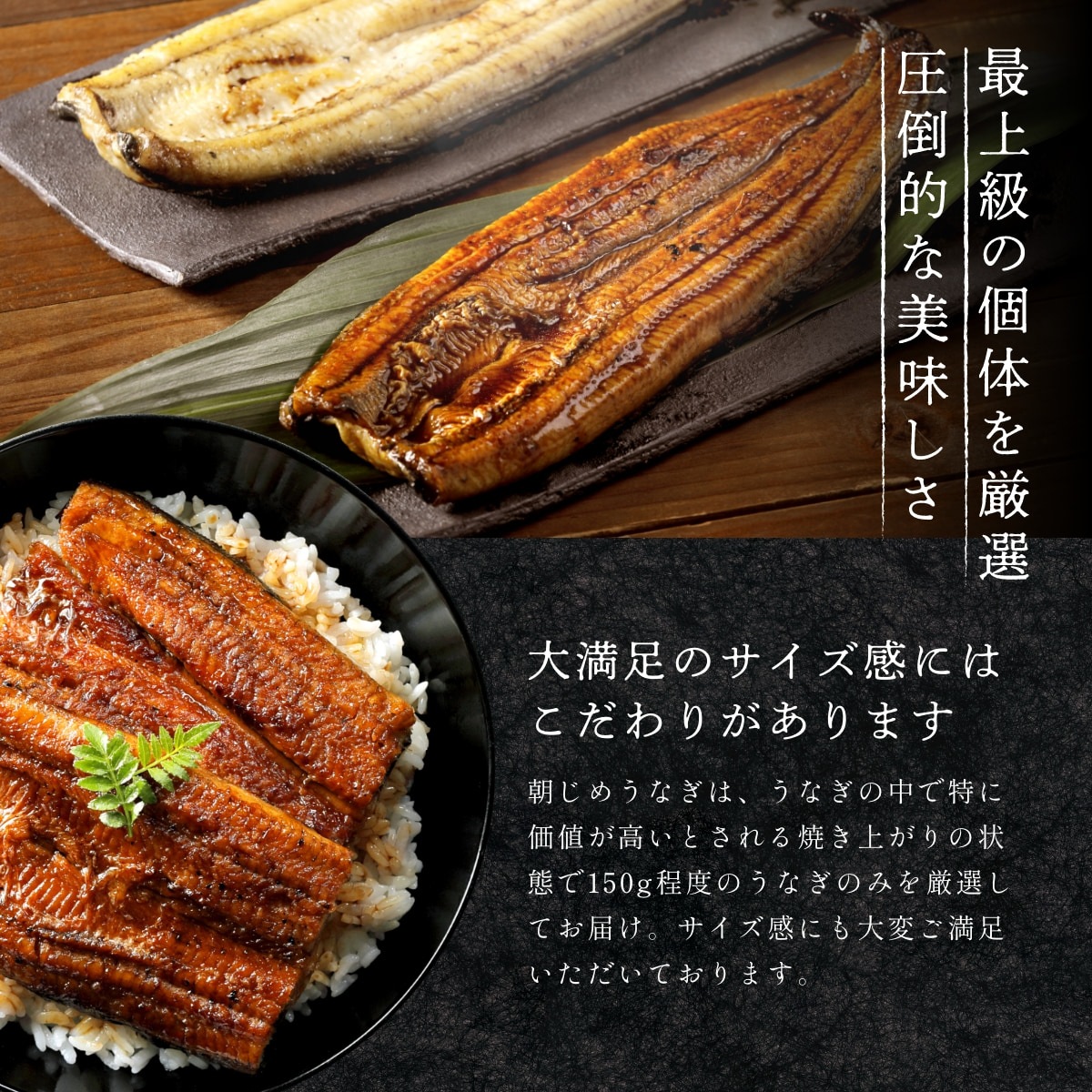 朝じめうなぎ蒲焼き2尾と白焼き1尾のコンビセット（4～5人前）【国産】【長焼き】