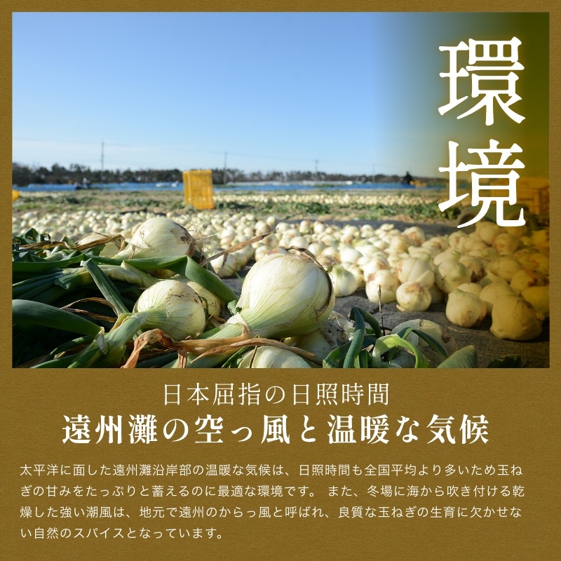 【数量限定】浜松産新玉ねぎプレミアムフレッシュ（A級品L玉 5kg）