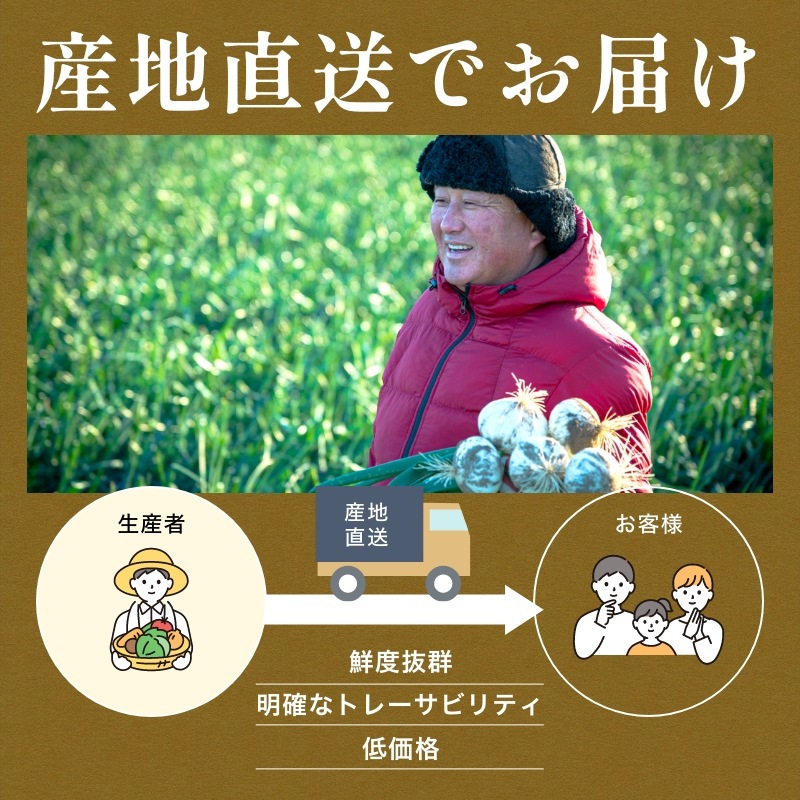 【数量限定】浜松産新玉ねぎプレミアムフレッシュ（A級品L玉 5kg）