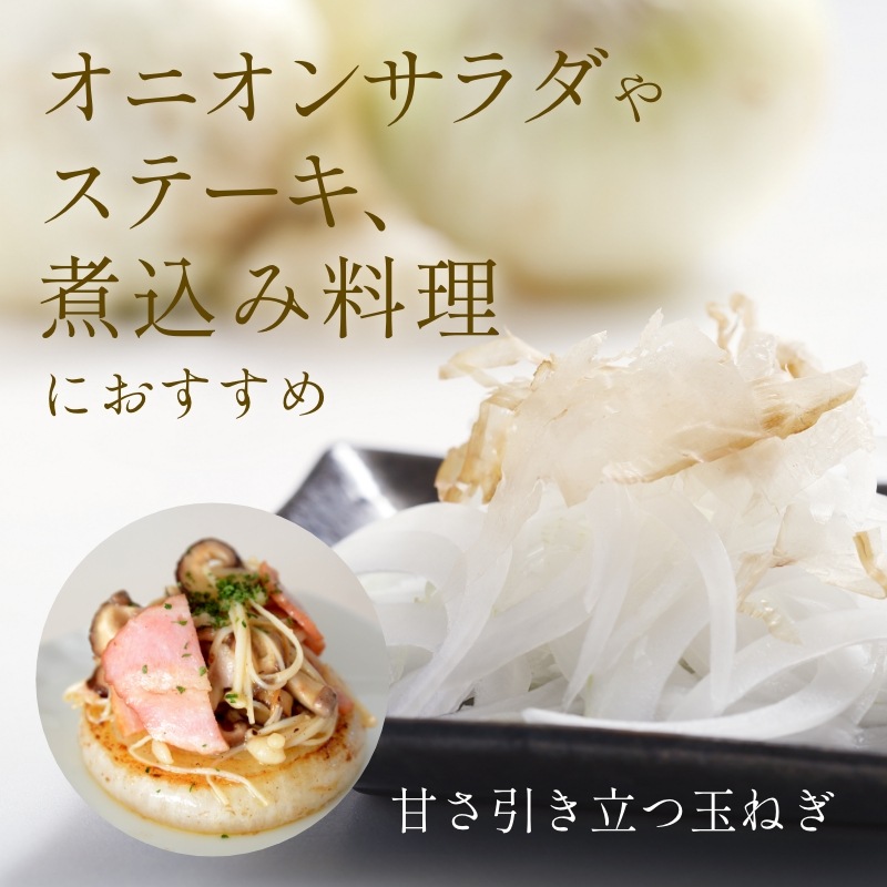 【数量限定】浜松産新玉ねぎプレミアムフレッシュ（A級品L玉 5kg）