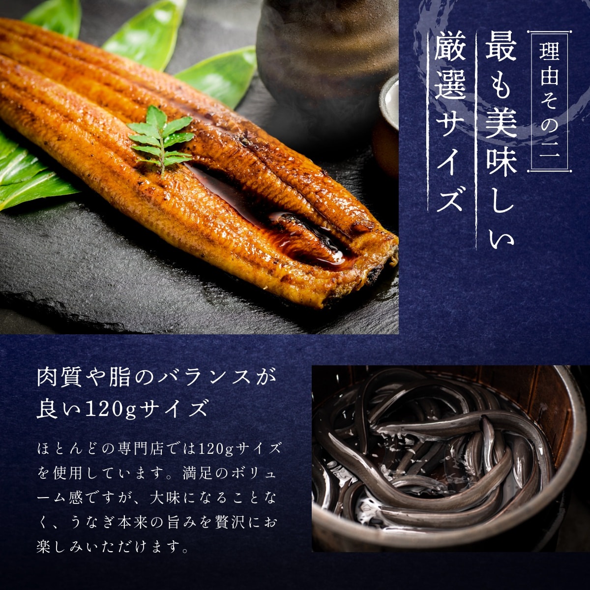純浜名湖産特上うなぎ2尾（2人前） - 浜名湖産直マーケット