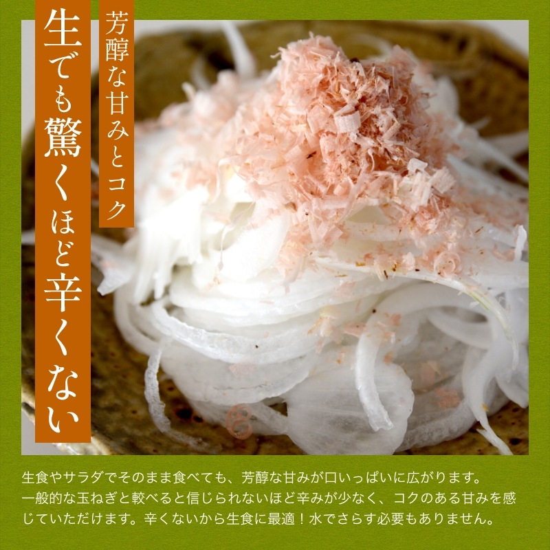 【数量限定】 浜松産白玉ねぎプレミアムホワイト(A級品L玉 5kg) 【満天青空レストランで紹介】