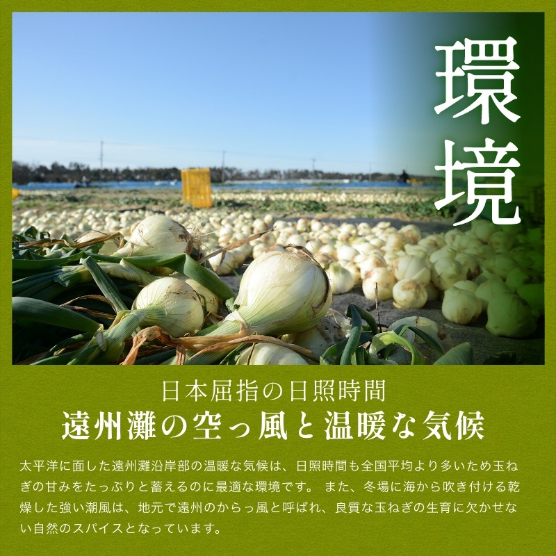【数量限定】 浜松産白玉ねぎプレミアムホワイト(A級品L玉 5kg) 【満天青空レストランで紹介】