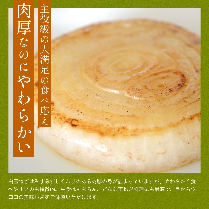 【数量限定】 浜松産白玉ねぎプレミアムホワイト(A級品L玉 5kg) 【満天青空レストランで紹介】