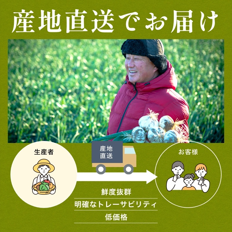 【数量限定】 浜松産白玉ねぎプレミアムホワイト(A級品L玉 5kg) 【満天青空レストランで紹介】