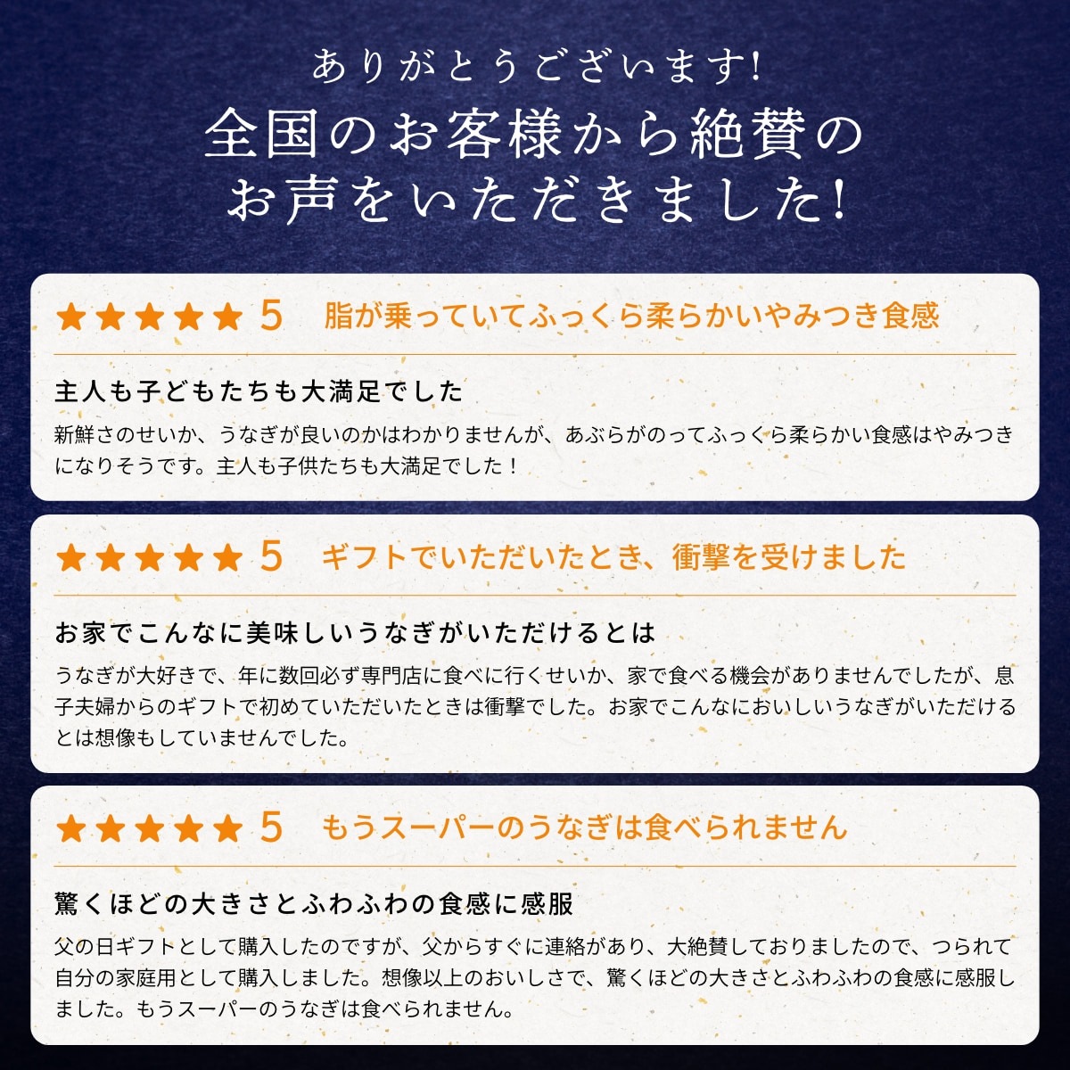 純浜名湖産特上うなぎ3尾（3～4人前）