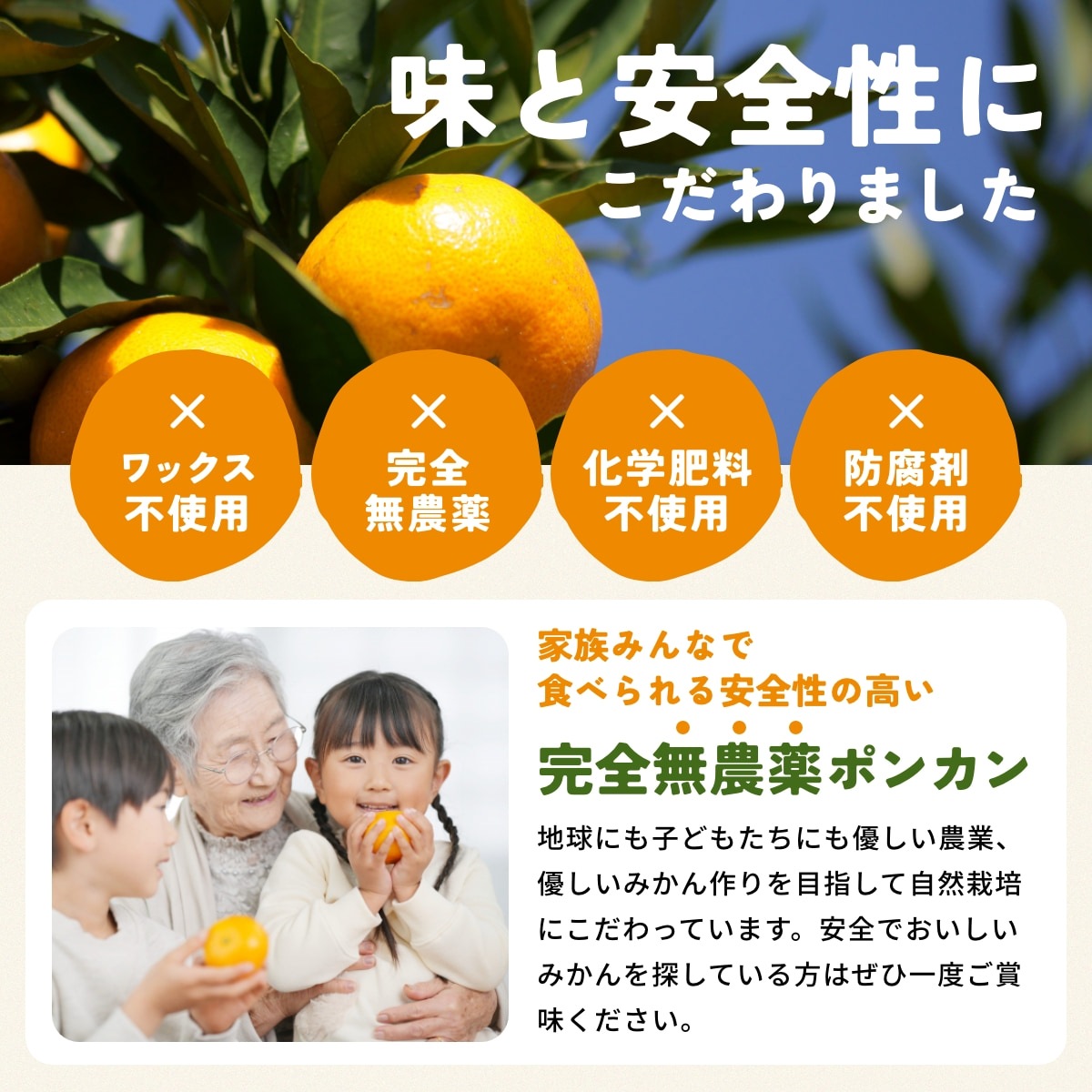 位田さんの完全無農薬三ヶ日ポンカン 4kg - 浜名湖産直マーケット