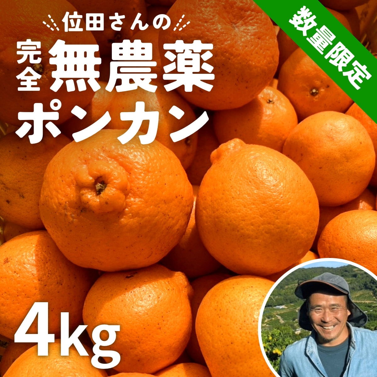 位田さんの完全無農薬三ヶ日ポンカン 4kg
