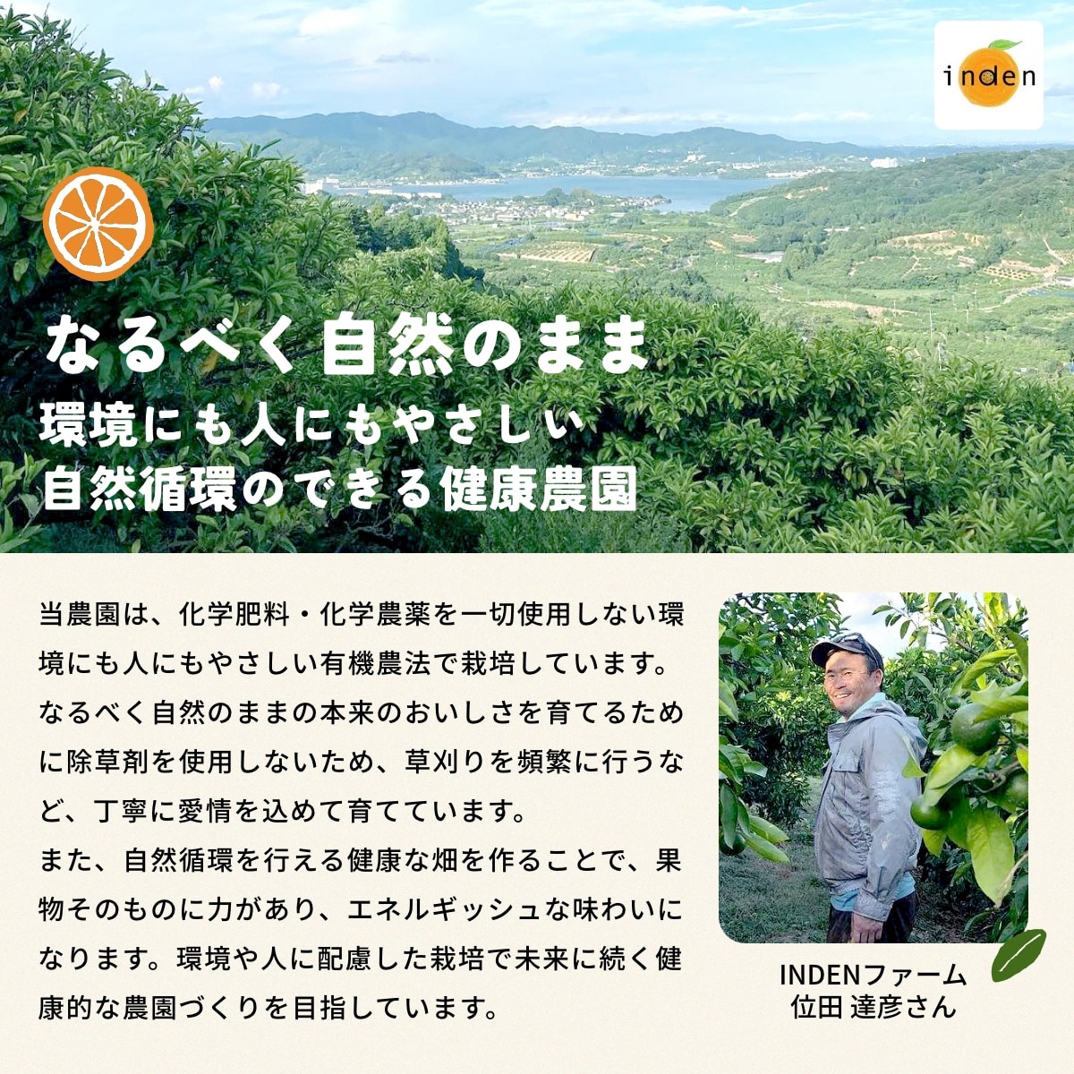 位田さんの完全無農薬三ヶ日ポンカン 4kg