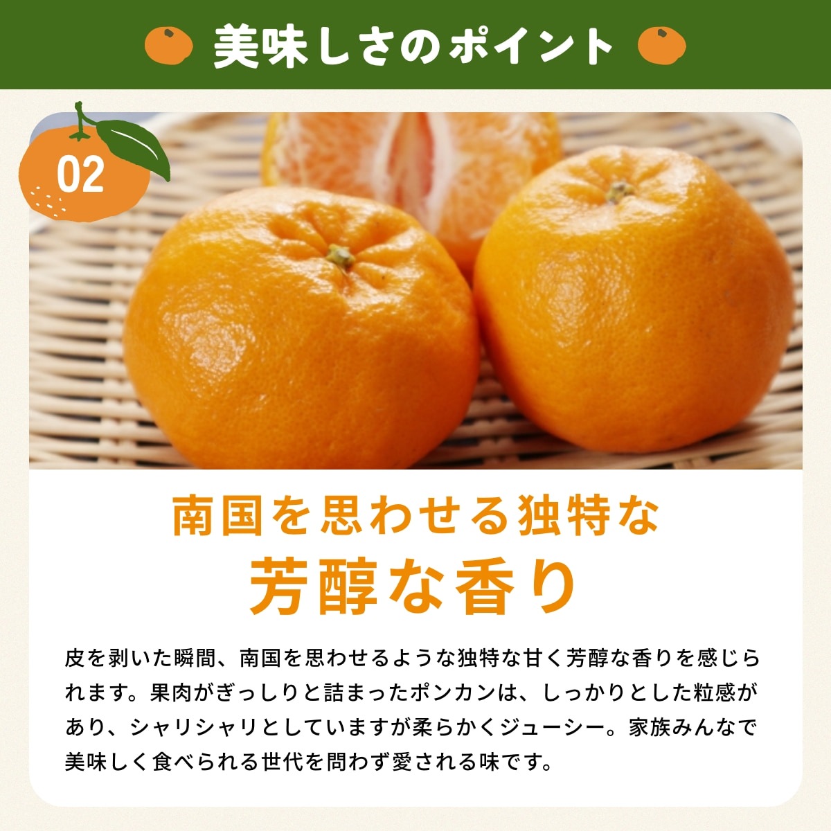 位田さんの完全無農薬三ヶ日ポンカン 4kg - 浜名湖産直マーケット