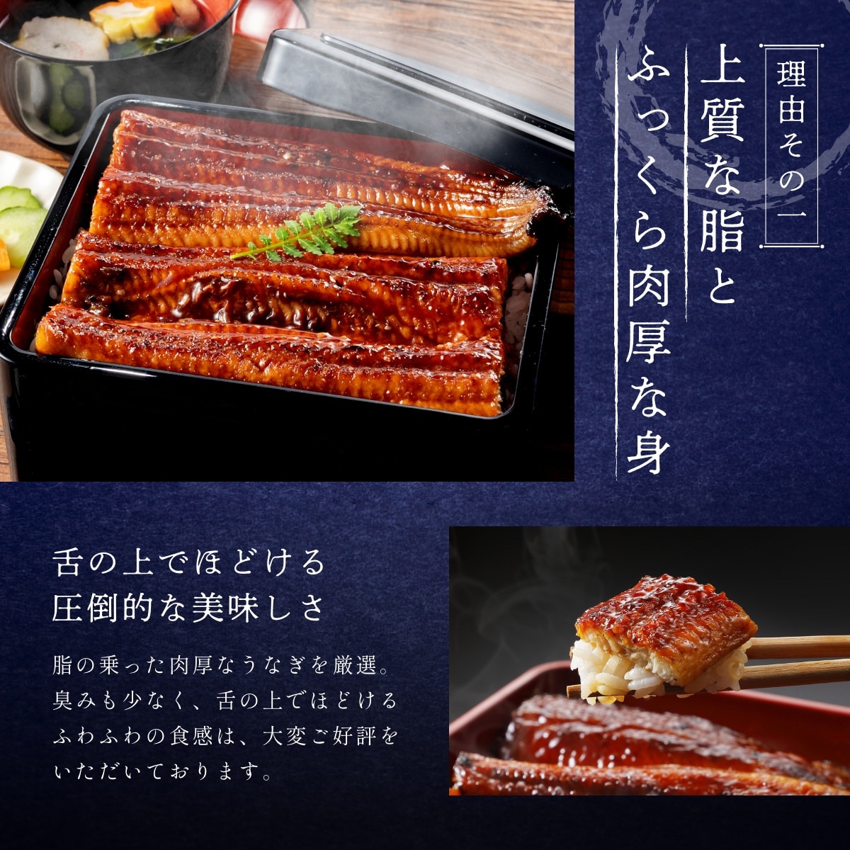 純浜名湖産特上うなぎ3尾・きも焼き（120g）付きセット（3～4人前）