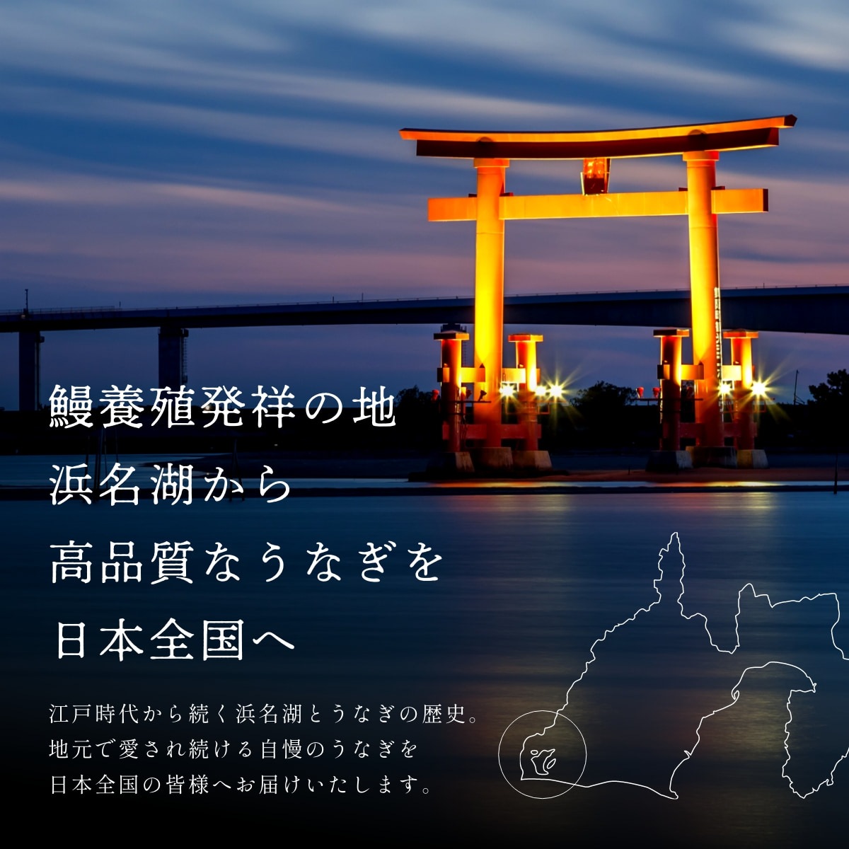 純浜名湖産特上うなぎ5尾・きも焼き（120g）付きセット（5～6人前）