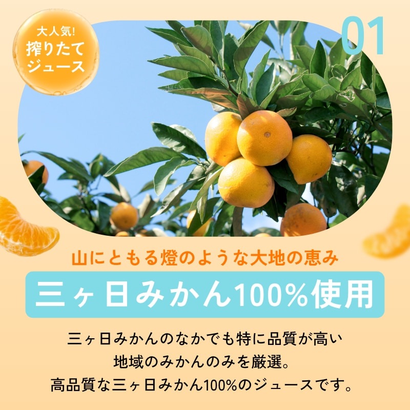 燈ギフトセット 三ヶ日みかん100％ジュース180ml×4本 まるごと三ヶ日みかんゼリー約90g×4個入り
