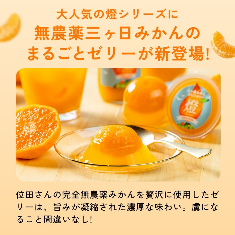 燈ギフトセット 三ヶ日みかん100％ジュース180ml×4本 まるごと