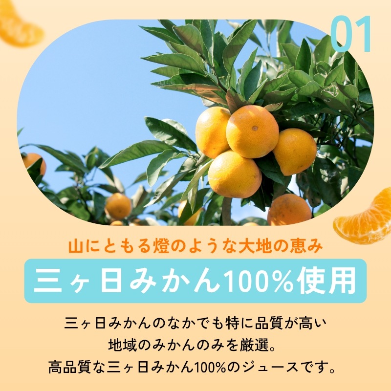 超濃厚！三ヶ日みかん100％ジュース -燈(あかり)- 180ml×12本入 