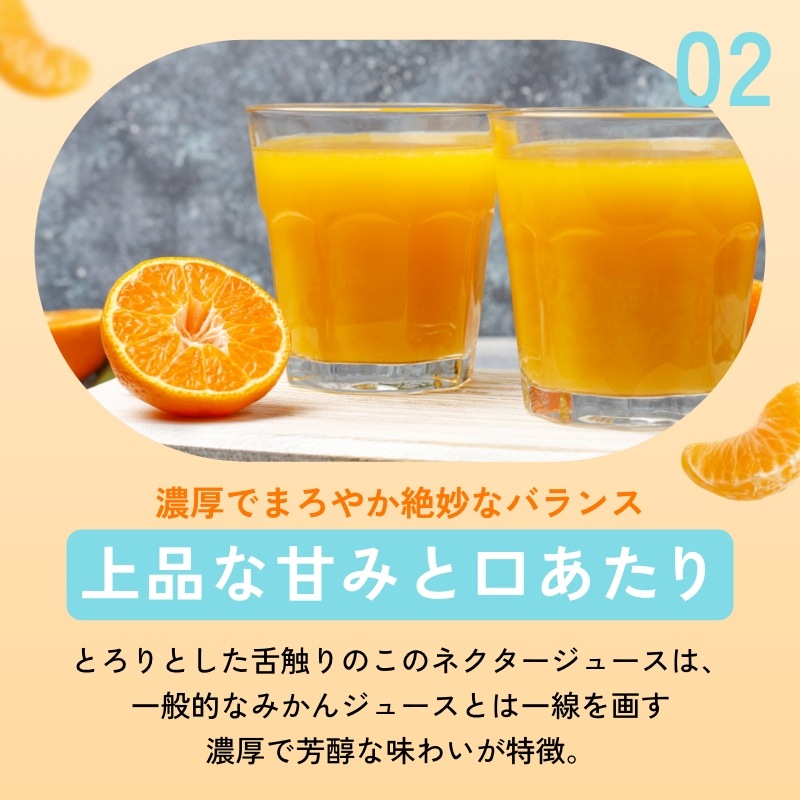 超濃厚！三ヶ日みかん100％ジュース -燈(あかり)- 180ml×12本入 