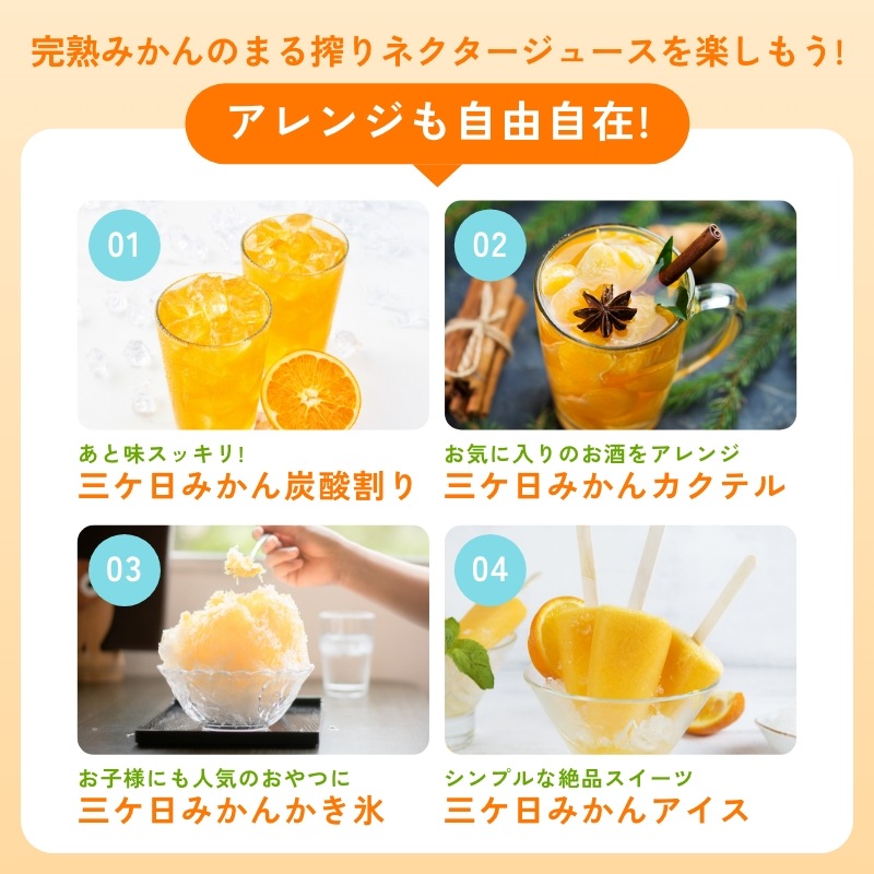 超濃厚！三ヶ日みかん100％ジュース -燈(あかり)- 180ml×12本入 