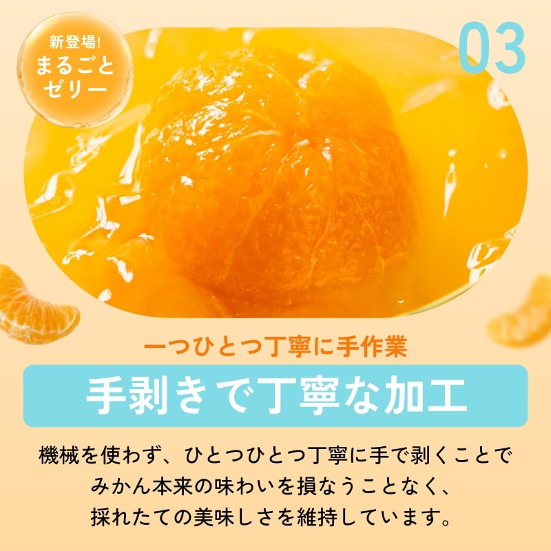 燈ギフトセット 三ヶ日みかん100%ジュース180ml×8本 まるごと三ヶ日みかんゼリー約90g×8個入り