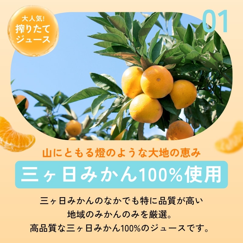 燈ギフトセット 三ヶ日みかん100%ジュース180ml×8本 まるごと三ヶ日みかんゼリー約90g×8個入り