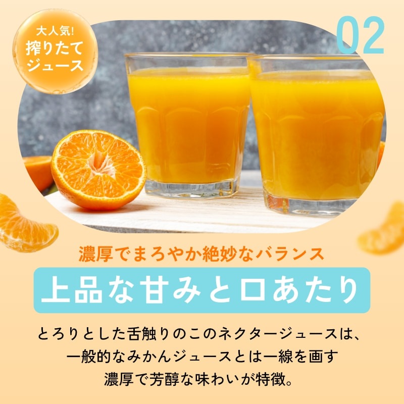 燈ギフトセット 三ヶ日みかん100%ジュース180ml×8本 まるごと三ヶ日みかんゼリー約90g×8個入り