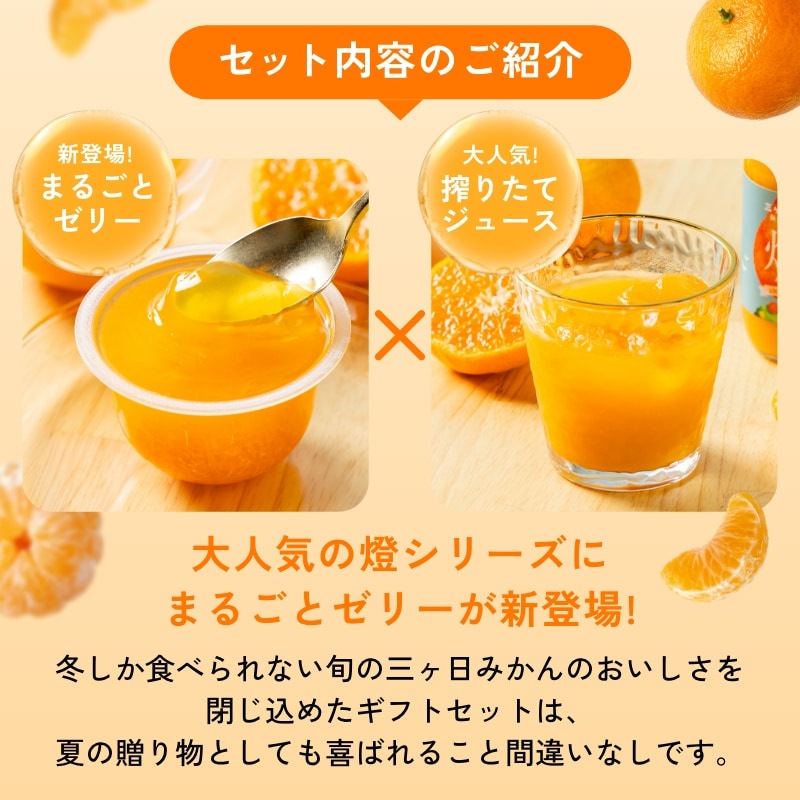 燈ギフトセット 三ヶ日みかん100%ジュース180ml×8本 まるごと三ヶ日みかんゼリー約90g×8個入り