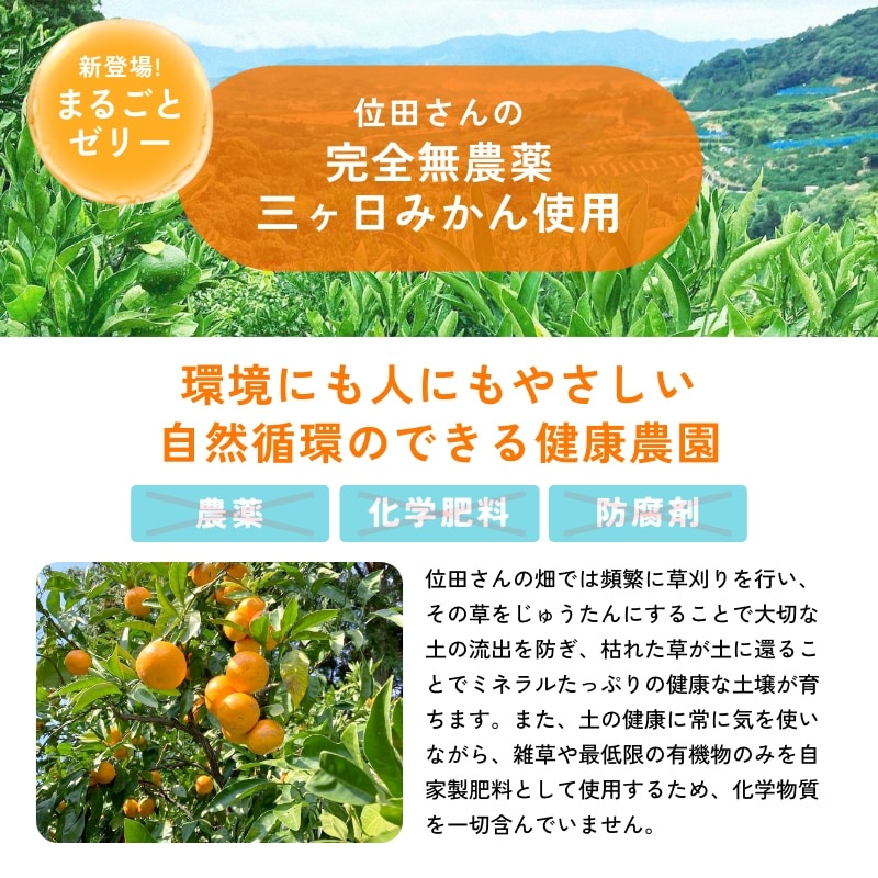 燈ギフトセット 三ヶ日みかん100%ジュース180ml×8本 まるごと三ヶ日みかんゼリー約90g×8個入り
