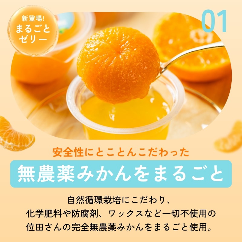 燈ギフトセット 三ヶ日みかん100%ジュース180ml×8本 まるごと三ヶ日みかんゼリー約90g×8個入り