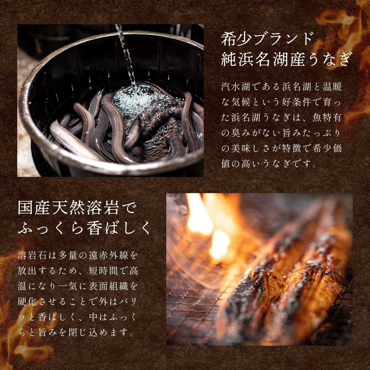 浜名湖産朝じめうなぎ溶岩焼き蒲焼き2尾（2～3人前）【浜名湖産・国産】【長焼き】※下準備に2営業日かかります。