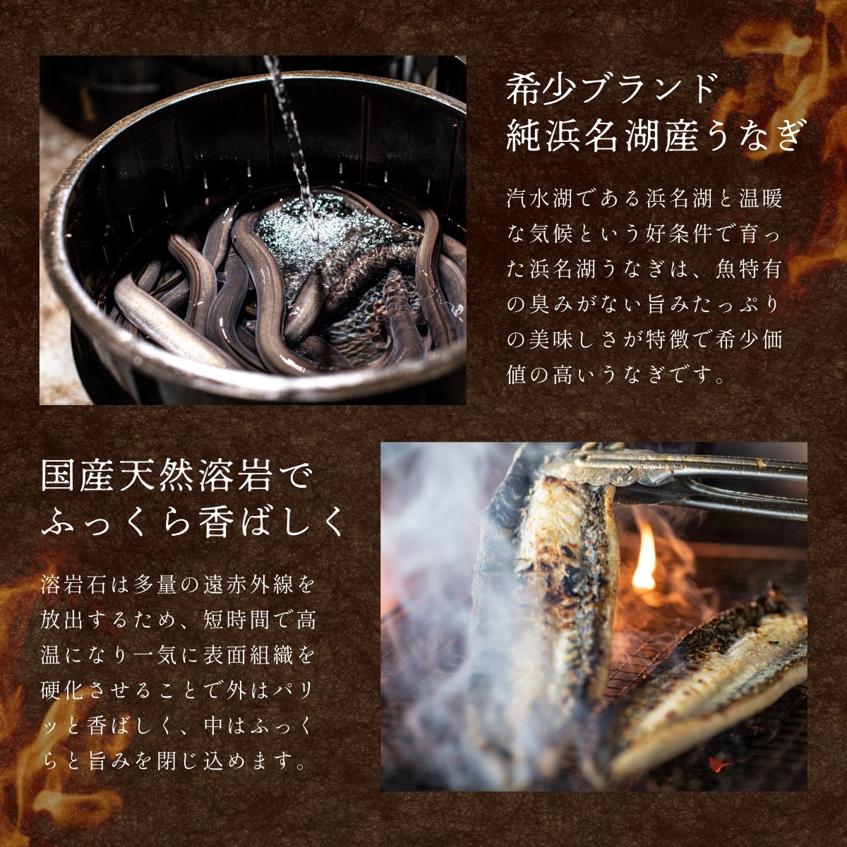 浜名湖産朝じめうなぎ溶岩焼き白焼き2尾(2~3人前)【浜名湖産・国産】【長焼き】※下準備に2営業日かかります。