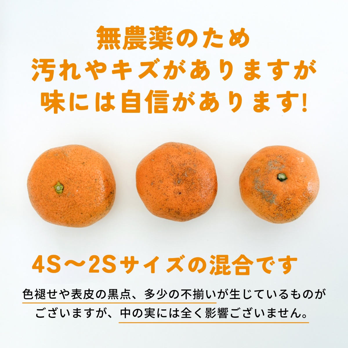 位田さんの完全無農薬三ヶ日みかん 小玉 8kg