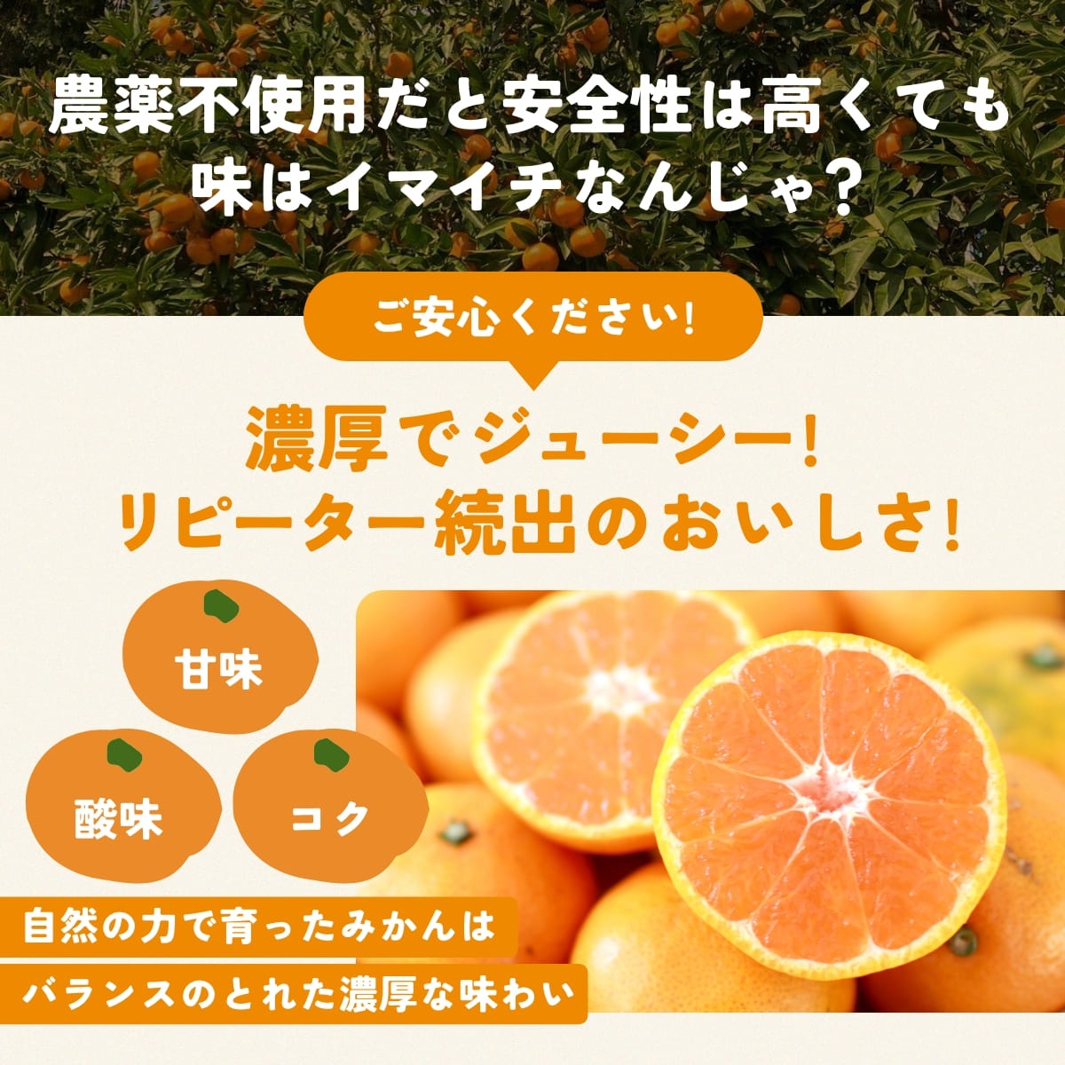 位田さんの農薬不使用三ヶ日みかん 小玉 8kg
