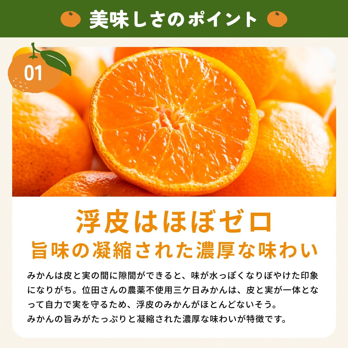 位田さんの農薬不使用三ヶ日みかん 小玉 8kg