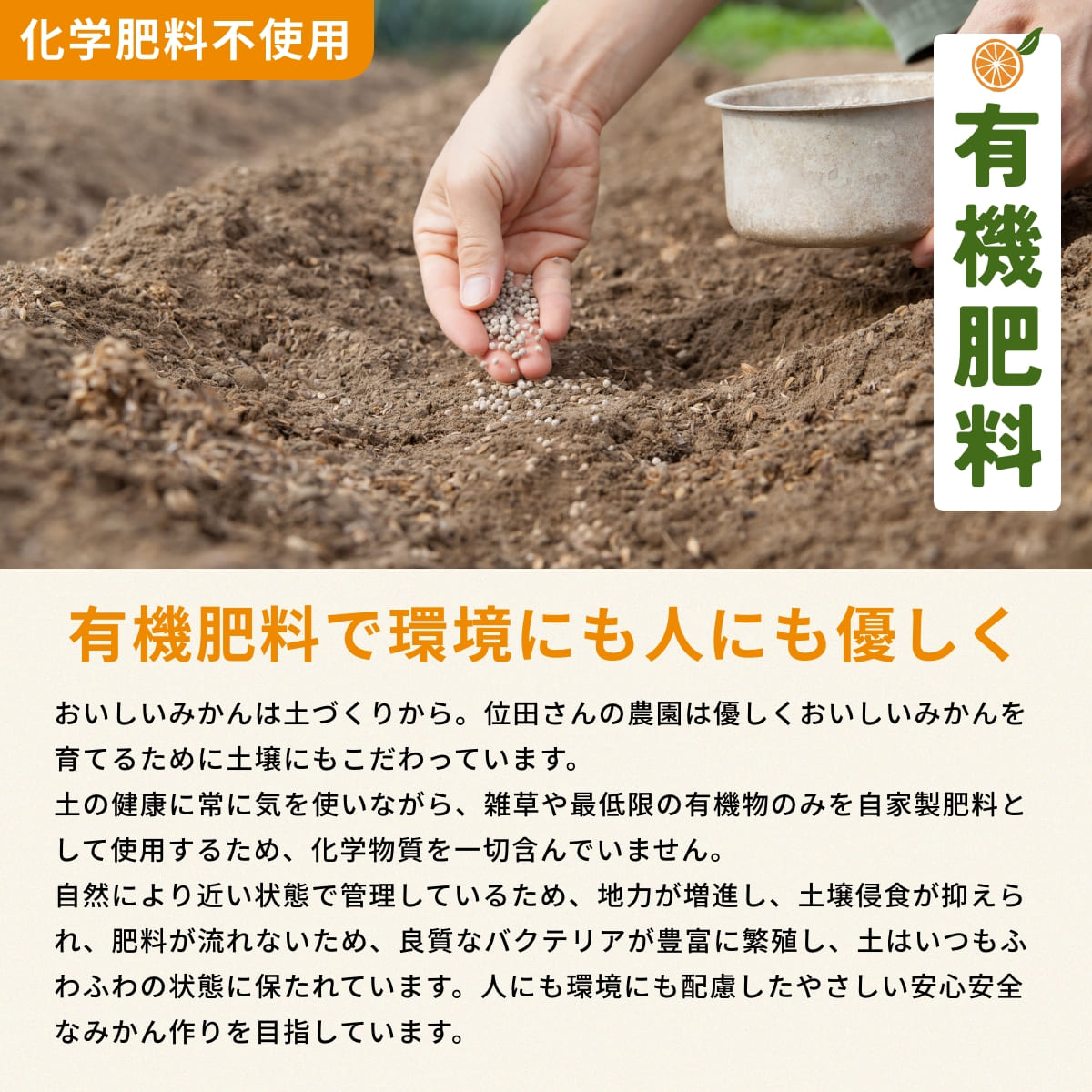 位田さんの農薬不使用三ヶ日みかん 小玉 8kg