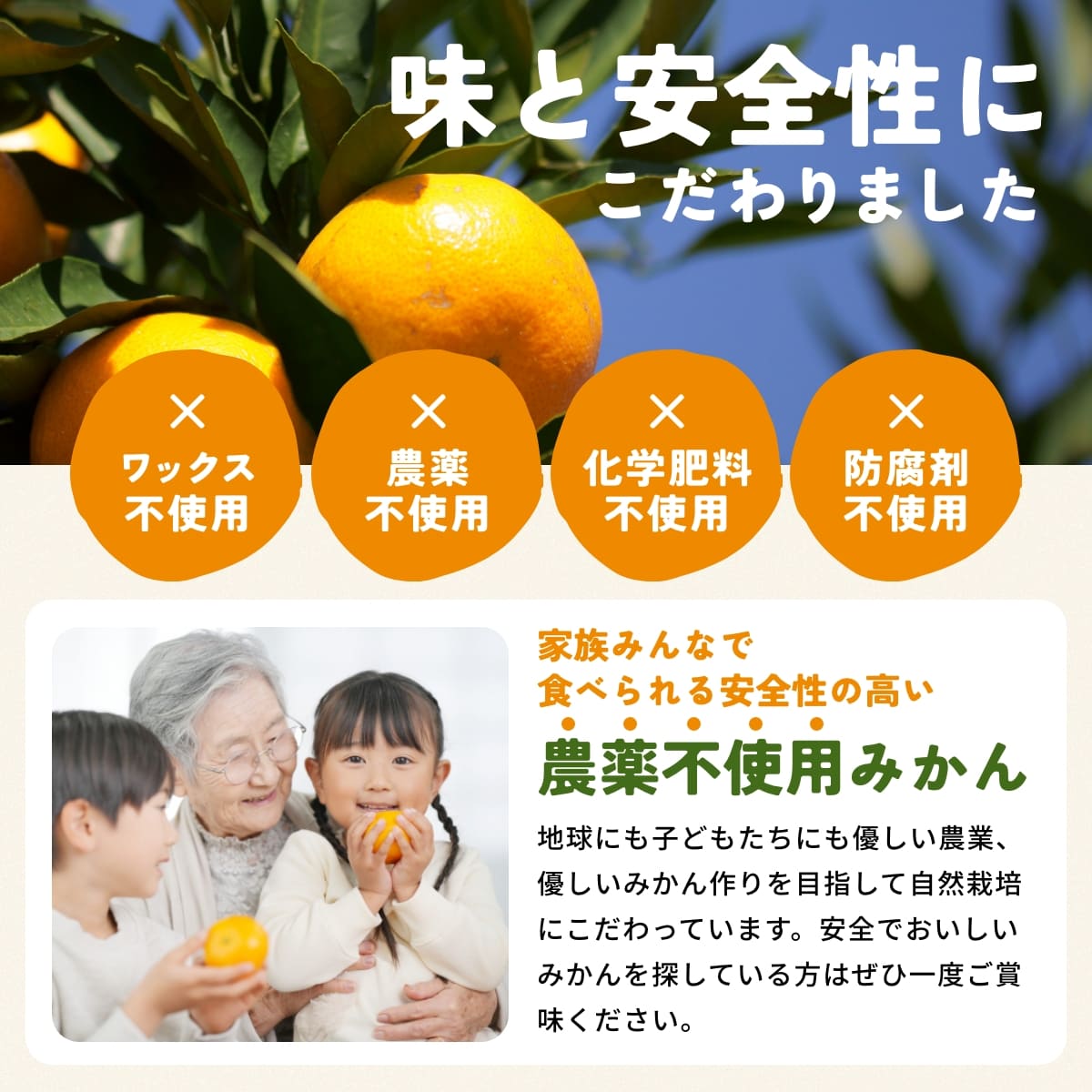 位田さんの農薬不使用三ヶ日みかん 小玉 8kg