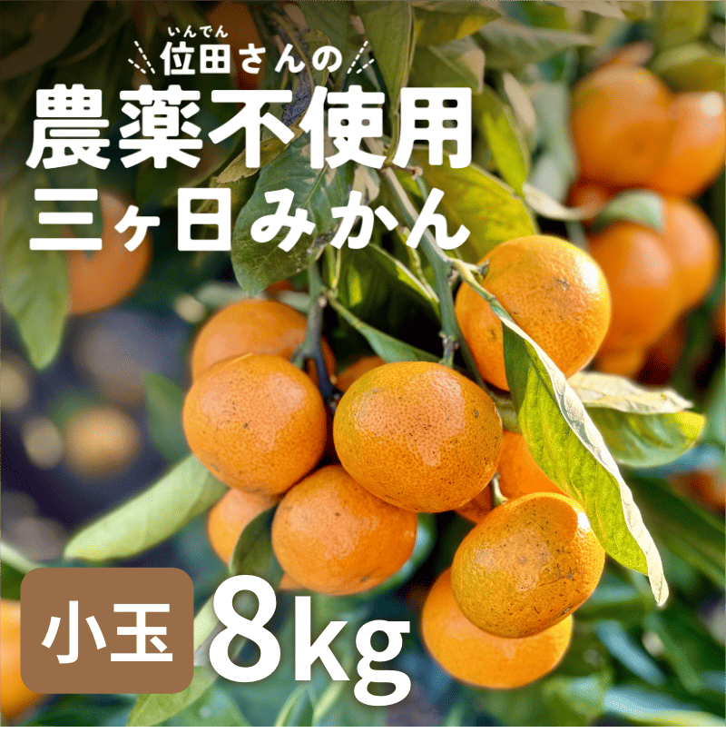 位田さんの農薬不使用三ヶ日みかん 小玉 8kg