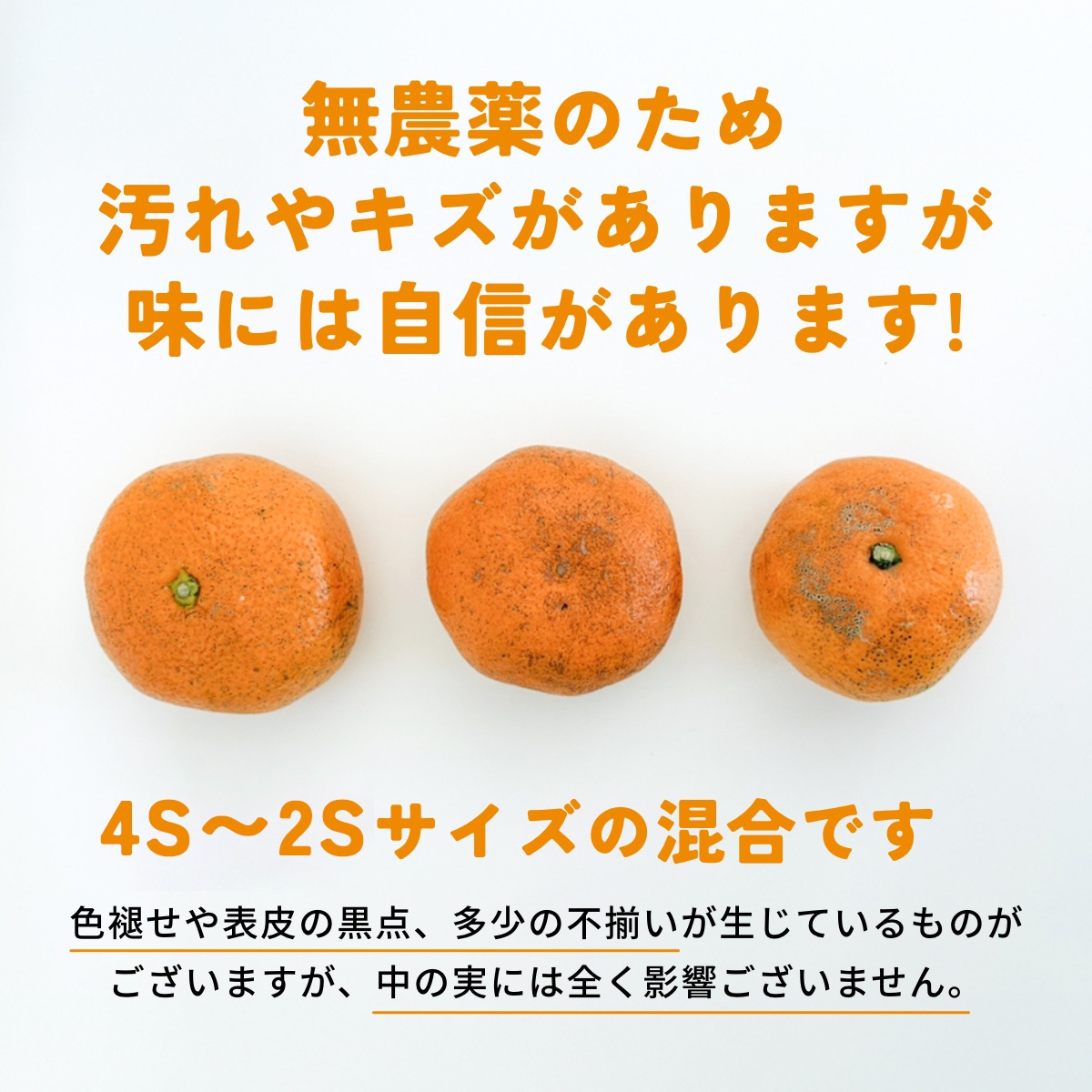 位田さんの完全無農薬三ヶ日みかん 小玉 4kg