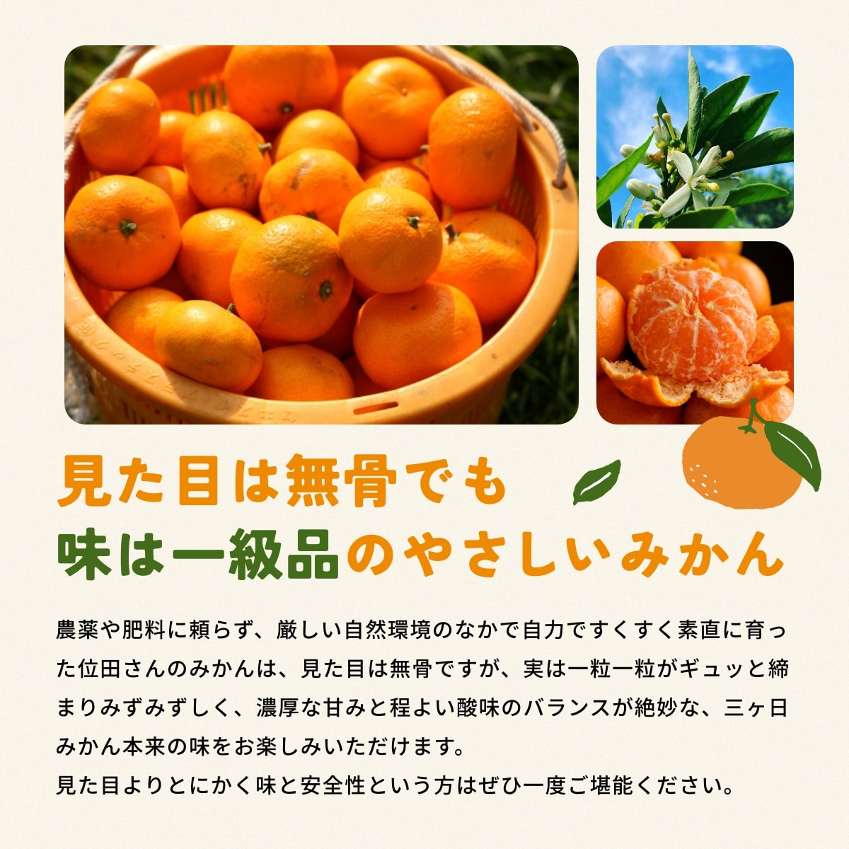 位田さんの完全無農薬三ヶ日みかん 小玉 4kg