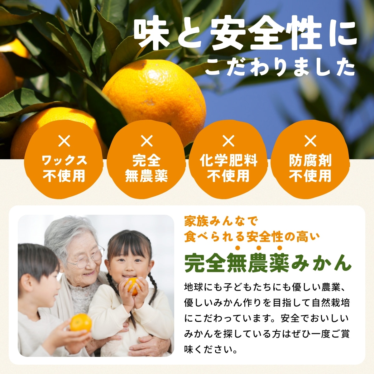 位田さんの完全無農薬三ヶ日みかん 小玉 4kg