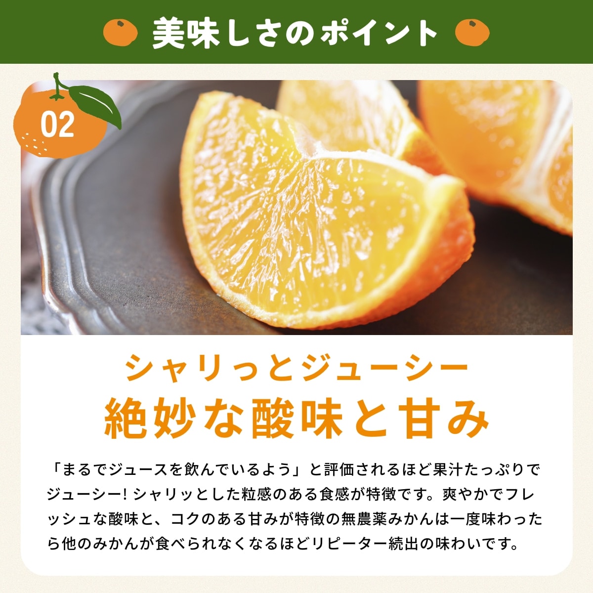 位田さんの完全無農薬三ヶ日みかん 小玉 4kg