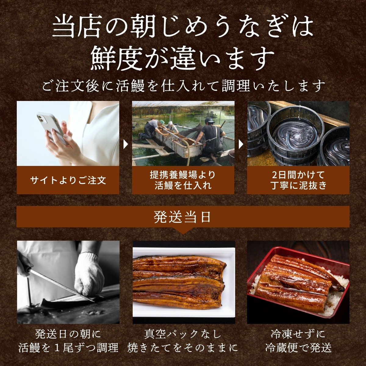 浜名湖産朝じめうなぎ溶岩焼き蒲焼2尾と白焼1尾コンビセット（2～3人前）【浜名湖産・国産】【長焼き】※下準備に2営業日かかります。