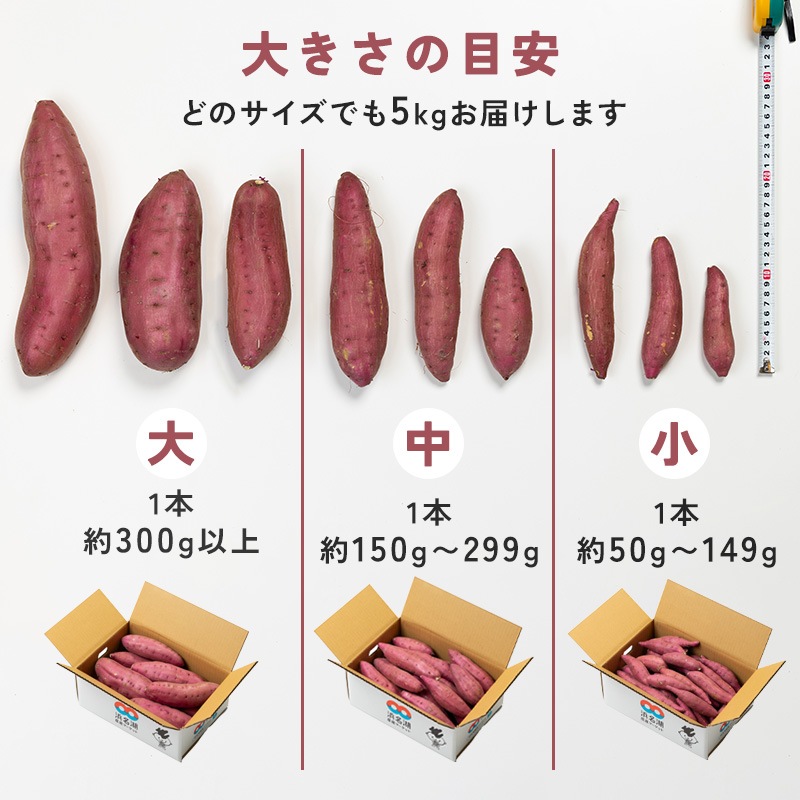 さつまいも 砂丘紅はるか 約5kg (中サイズ 1本 約150g 〜299g)